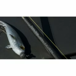 Fox Rage Terminator Casting Canne Big Bait Special 240cm 200g 23 Fox Rage Terminator Casting Canne Big Bait Special 240cm 200g -Accessoires de tente Soldes Magasin dsc05009 550x550w 1